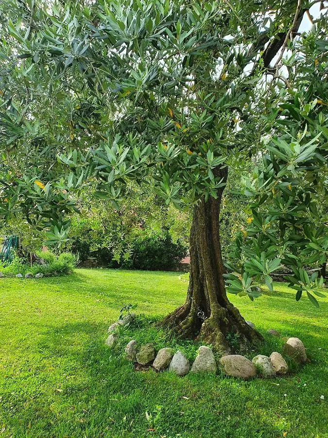 Bed & Breakfast Ulivi B&B Padenghe sul Garda