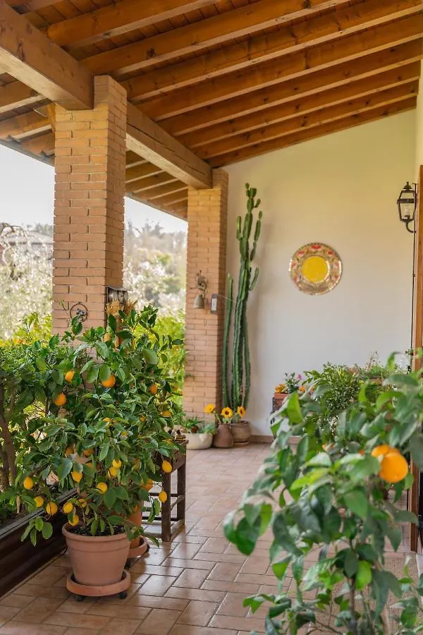 Ulivi B&B Padenghe sul Garda